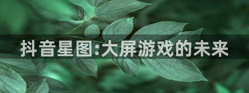 新城平台代理注册流程：抖音星图:大屏游戏的未来