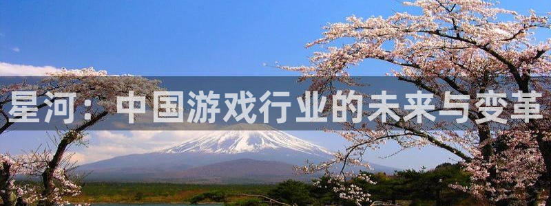 新城平台登录密码忘了怎么找回：星河：中国游戏行业的未来与变革