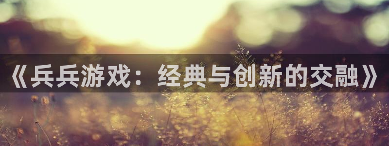 新城平台登录入口官网下载app：《兵兵游戏：经典与创新的交融》