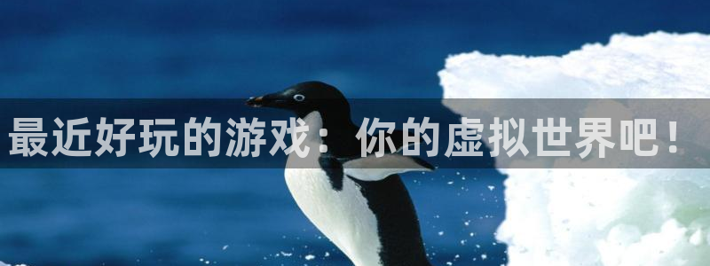 新城平台登录入口网站