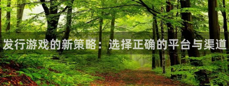 新城平台注册公司流程图