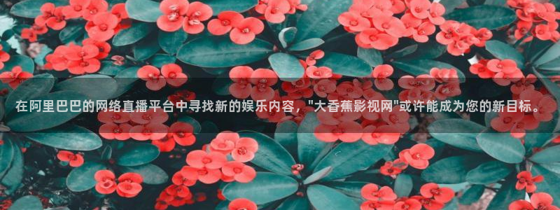 五杀影院在线观看免费最新：在阿里巴巴的网络直播平台中寻找新的娱乐内容，\