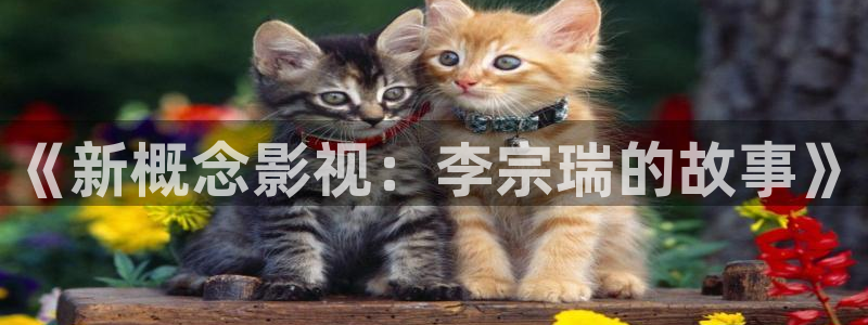 五杀影院电影大全：《新概念影视：李宗瑞的故事》