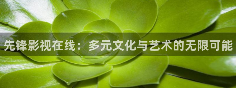 五杀影院官网免费看：先锋影视在线：多元文化与艺术的无限可能