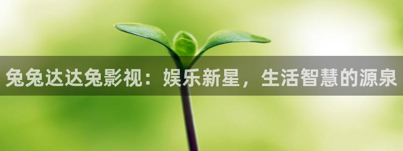 五杀影院：兔兔达达兔影视：娱乐新星，生活智慧的源泉