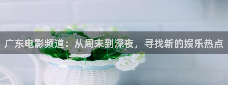 五杀影院官网在线：广东电影频道：从周末到深夜，寻找新的娱乐热点