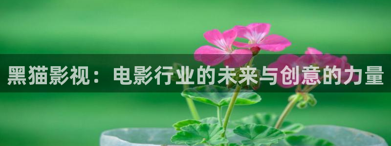 五杀影院在线观看完整版免费：黑猫影视：电影行业的未来与创意的力量