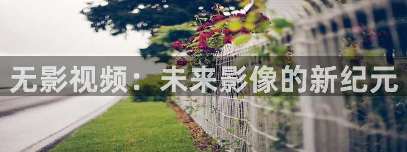 五杀影院在线播放：无影视频：未来影像的新纪元