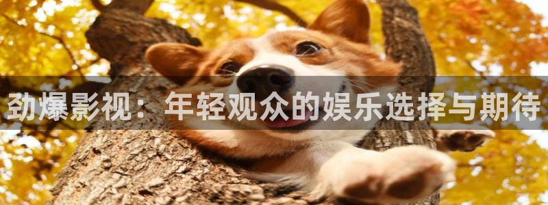 五杀影院在线观看免费：劲爆影视：年轻观众的娱乐选择与期待