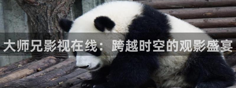 五杀影院在线观看免费播放：大师兄影视在线：跨越时空的观影盛宴